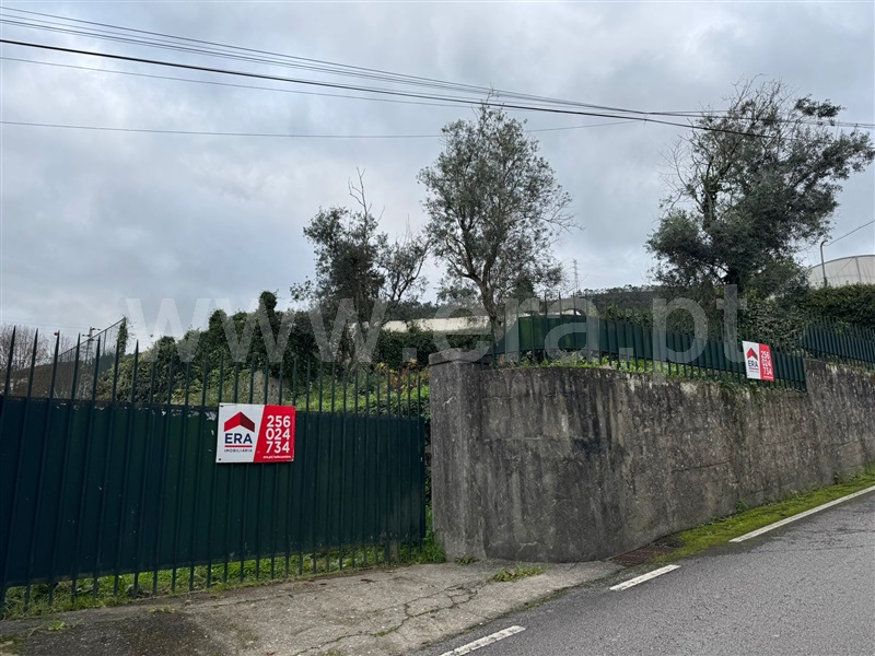Quinta  Vale de Cambra, Vila Chã, Codal e Vila Cova de Perrinho - 1335451 - 22
