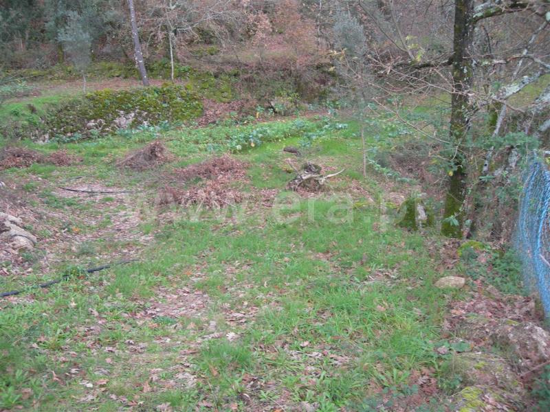 Quinta  Vieira do Minho, Louredo - 503759 - 3