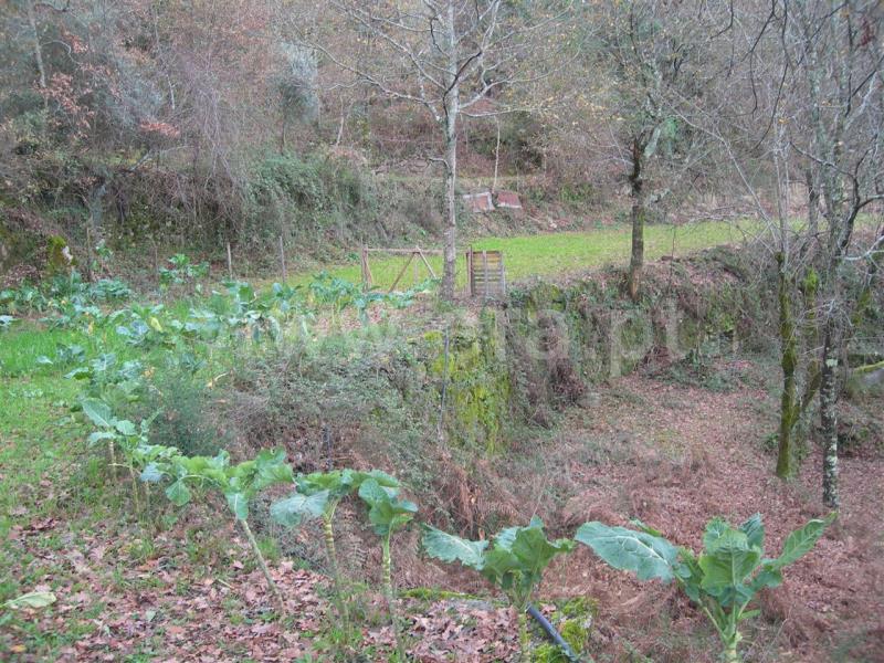Quinta  Vieira do Minho, Louredo - 503759 - 5