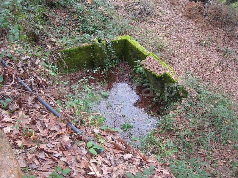 Quinta  Vieira do Minho, Louredo - 503759 - 7