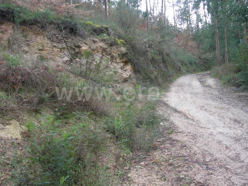 Quinta  Vieira do Minho, Louredo - 503759 - 11