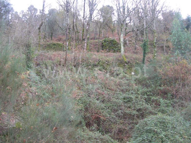 Quinta  Vieira do Minho, Louredo - 503759 - 9