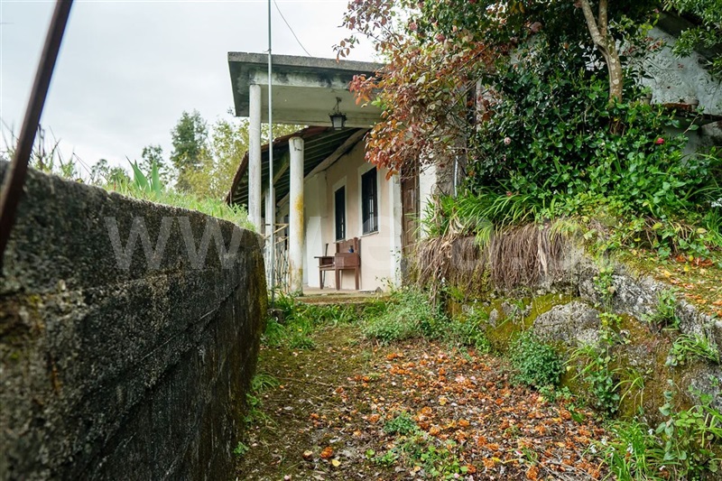 Quinta  Vieira do Minho, Mosteiro - 530949 - 3