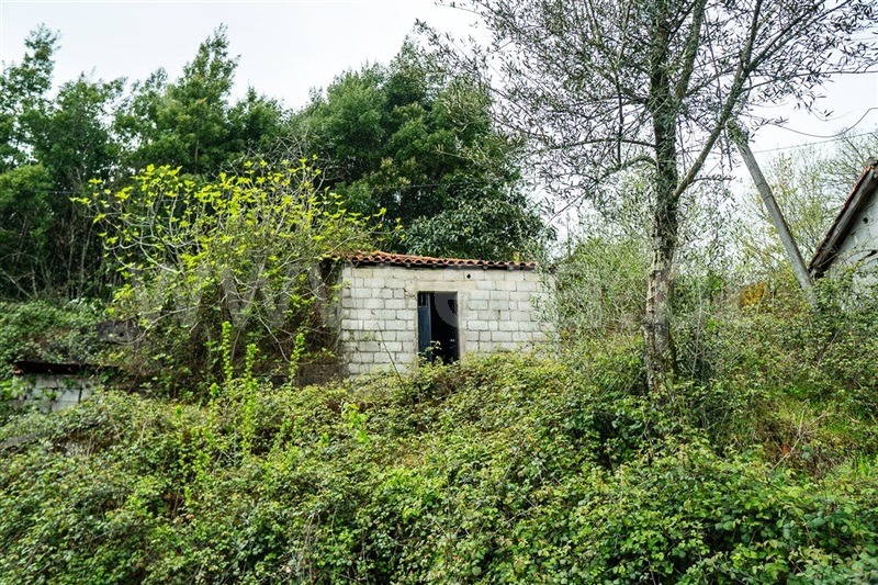 Quinta  Vieira do Minho, Mosteiro - 530949 - 5
