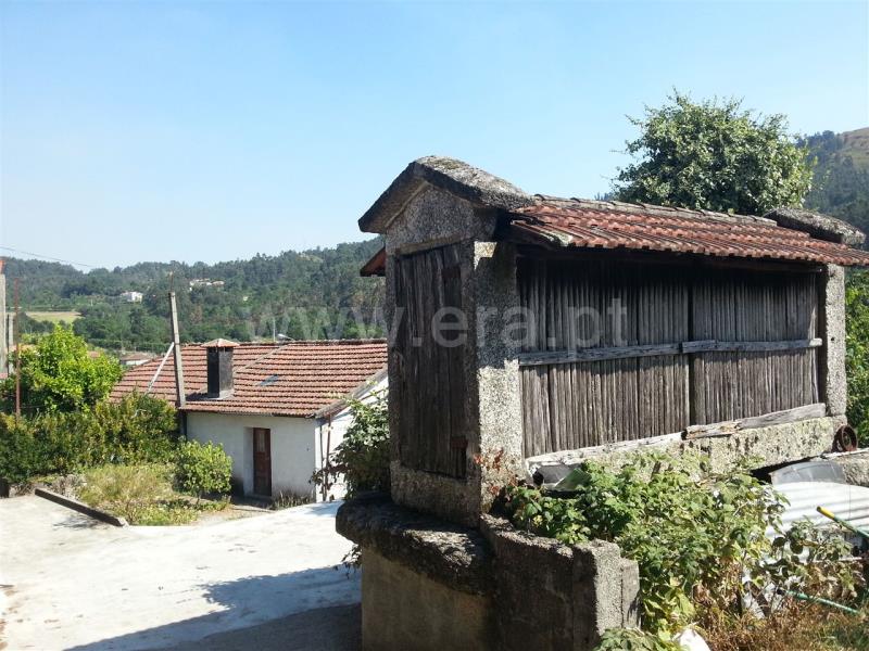 Quinta / Vieira do Minho, Rossas
