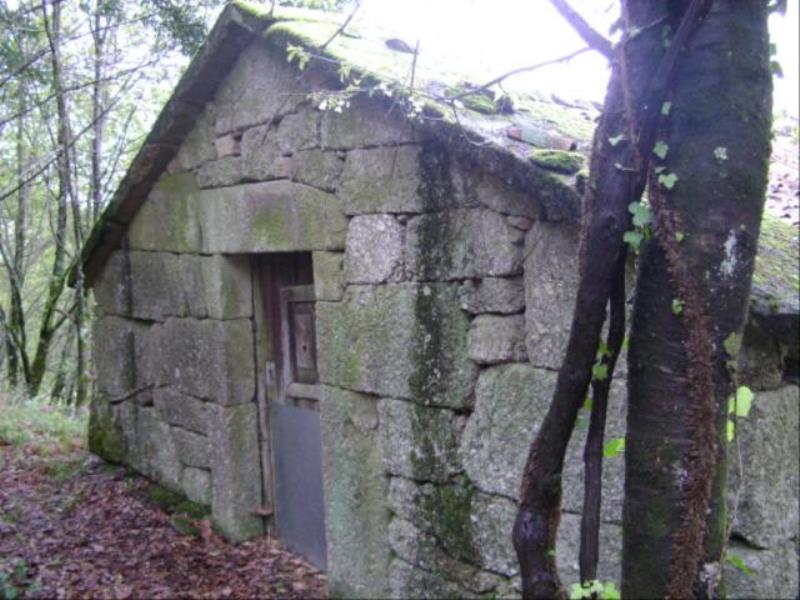 Quinta  Vieira do Minho, Vieira do Minho - 63356 - 10