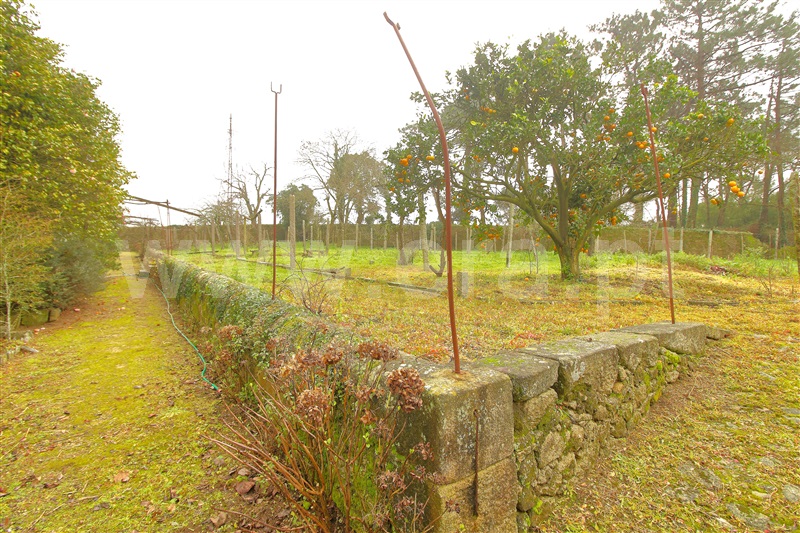 Quinta  Vila do Conde, Touguinhó - 1386359 - 17