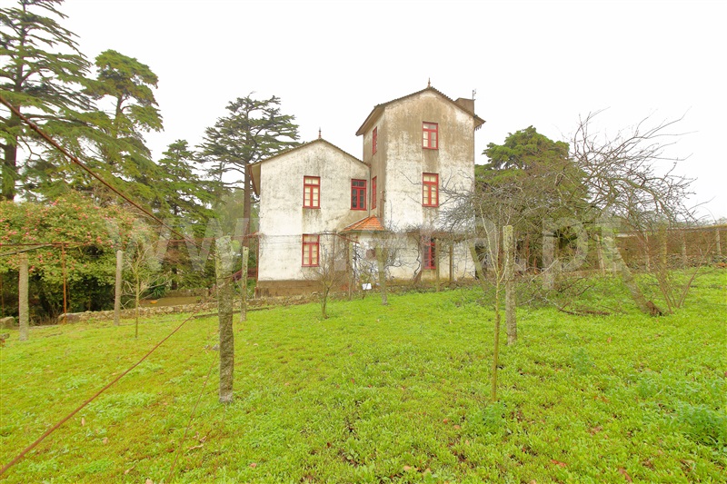 Quinta  Vila do Conde, Touguinhó - 1386359 - 21