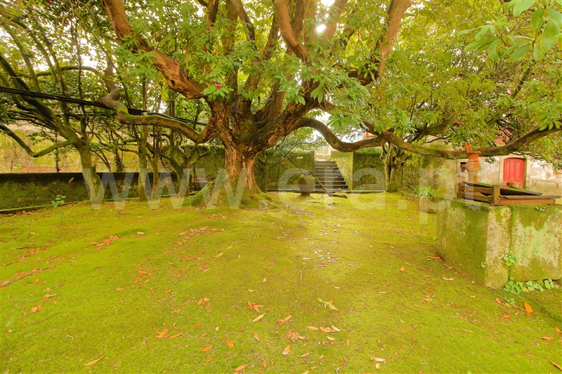 Quinta  Vila do Conde, Touguinhó - 1386359 - 27