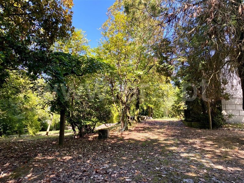 Quinta  Vila Nova de Famalicão, Joane - 1259157 - 17