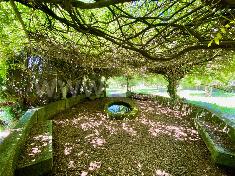 Quinta  Vila Nova de Famalicão, Joane - 1259157 - 20
