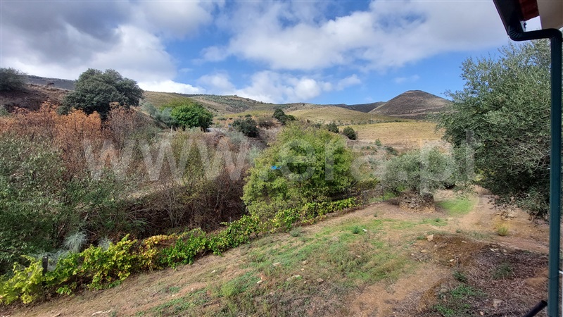 Terreno  Vila Nova de Foz Coa, Freixo de Numão - 1276081 - 4