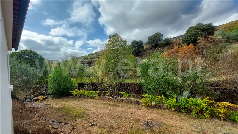 Terreno  Vila Nova de Foz Coa, Freixo de Numão - 1276081 - 5