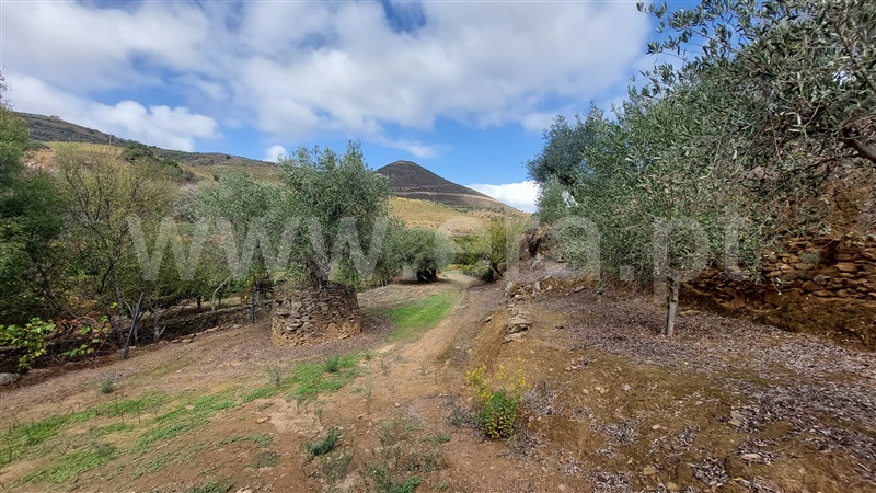 Terreno  Vila Nova de Foz Coa, Freixo de Numão - 1276081 - 10