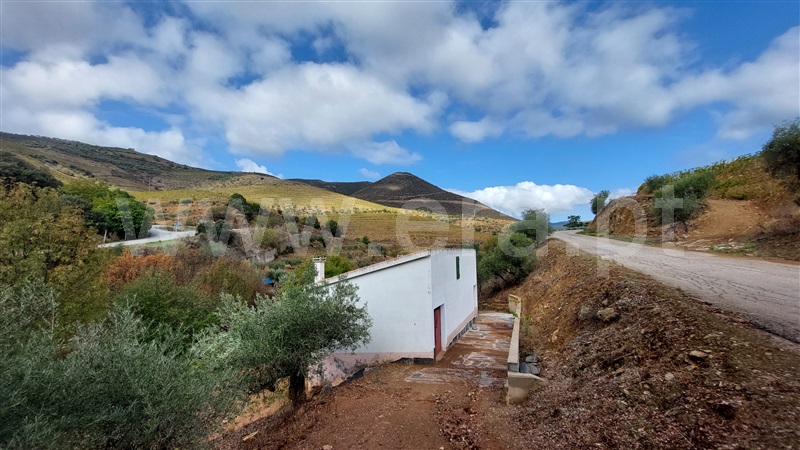 Terreno  Vila Nova de Foz Coa, Freixo de Numão - 1276081 - 12