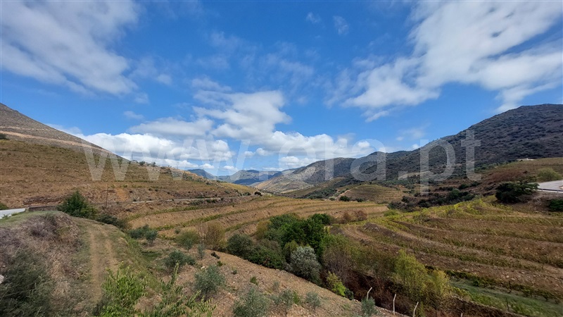 Terreno  Vila Nova de Foz Coa, Freixo de Numão - 1276081 - 23