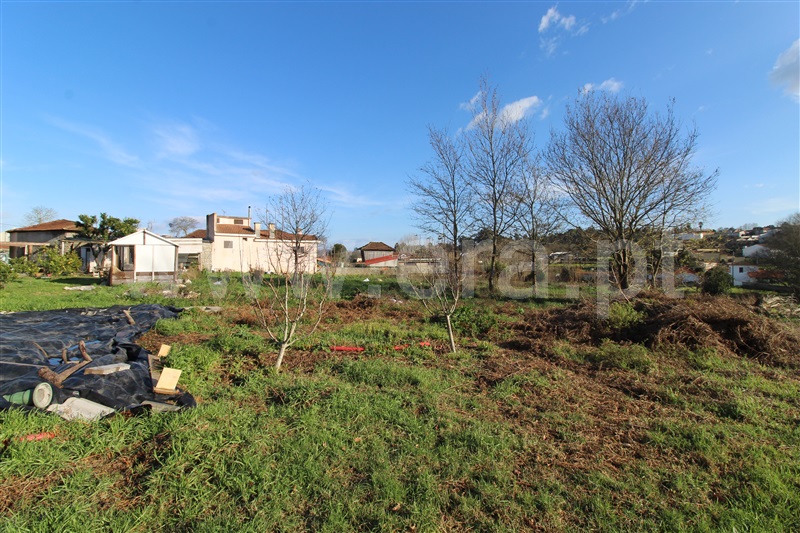 Quinta  Vila Nova de Gaia, Avintes - 1494479 - 19