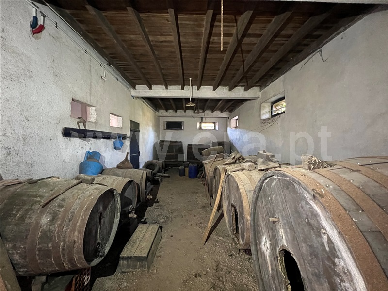 Quinta  Vila Nova de Poiares, Poiares - 1286277 - 31