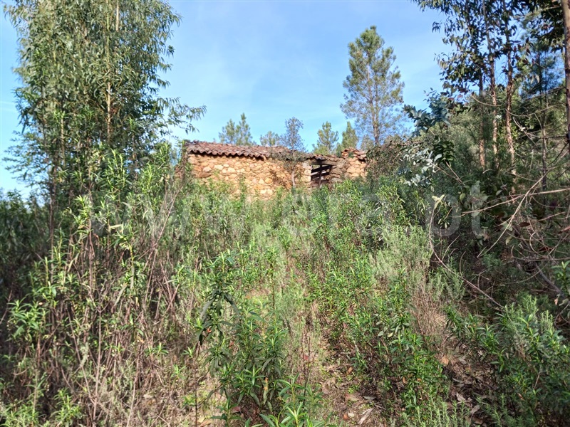 Quinta  Vila Velha de Rodão, Perdigão - 1381188 - 7