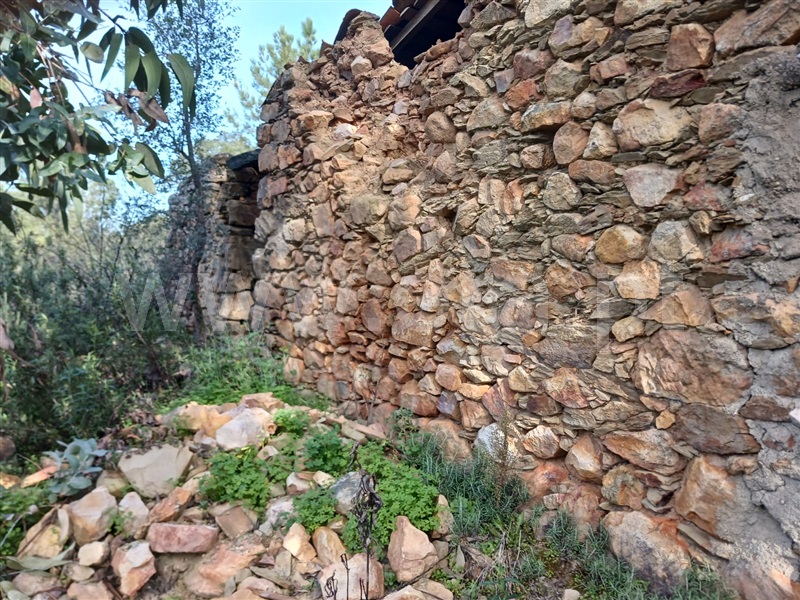 Quinta  Vila Velha de Rodão, Perdigão - 1381188 - 8