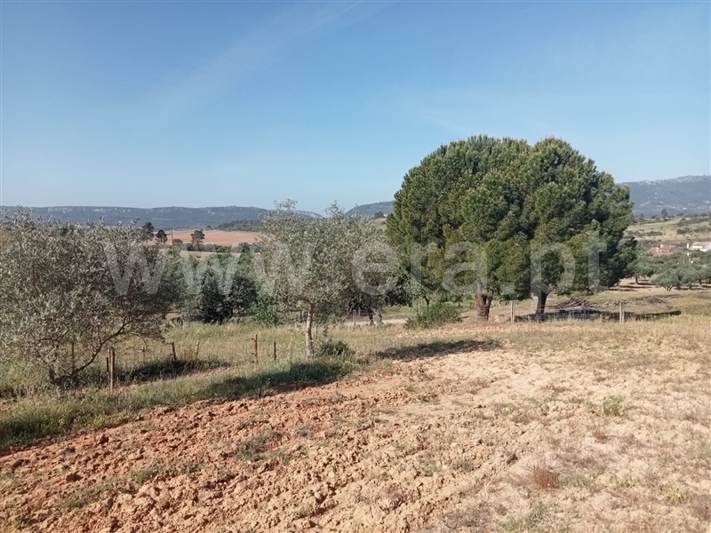 Quintinha  Vila Velha de Rodão, Coxerro - 1323231 - 4