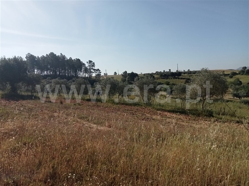 Quintinha  Vila Velha de Rodão, Coxerro - 1323231 - 13