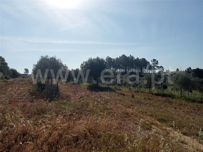 Quintinha  Vila Velha de Rodão, Coxerro - 1323231 - 14