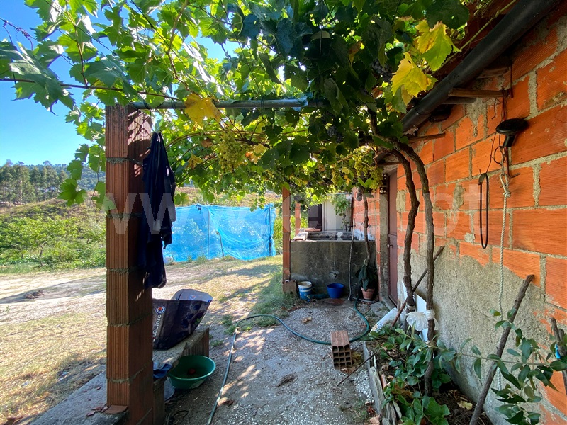 Quintinha  Vila Velha de Rodão, Vila Velha de Rodão - 1407284 - 6