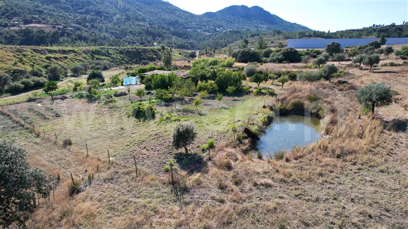 Quintinha  Vila Velha de Rodão, Vila Velha de Rodão - 1407284 - 12
