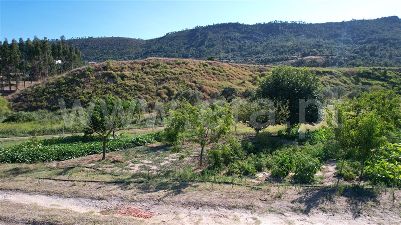 Quintinha  Vila Velha de Rodão, Vila Velha de Rodão - 1407284 - 13