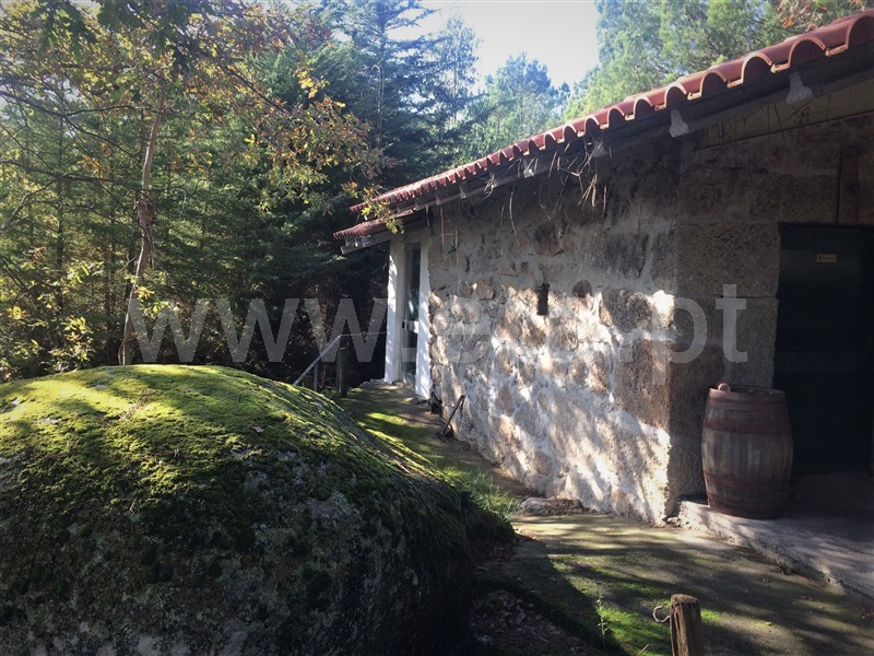 Quinta  Viseu, São João Lourosa - 1055041 - 4