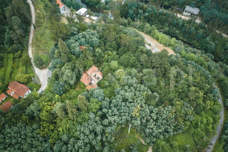 Quintinha / Albergaria-a-Velha, Fradelos