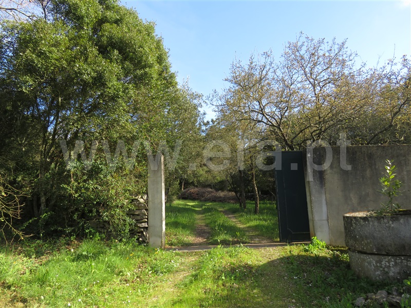Quintinha  Alcobaça, Benedita - 1156561 - 2