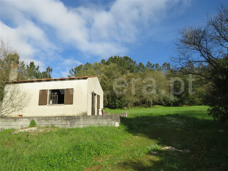 Quintinha  Alcobaça, Benedita - 1156561 - 3