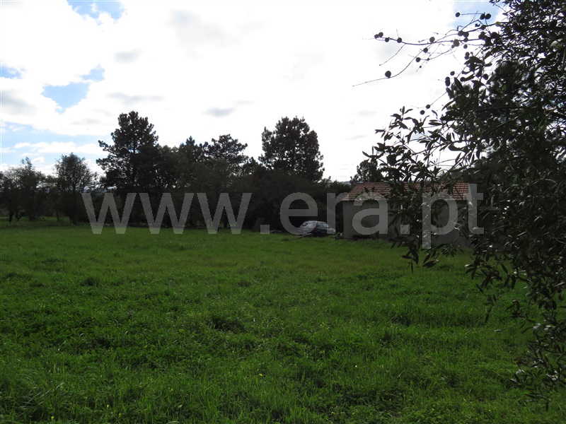 Quintinha  Alcobaça, Benedita - 1156561 - 4