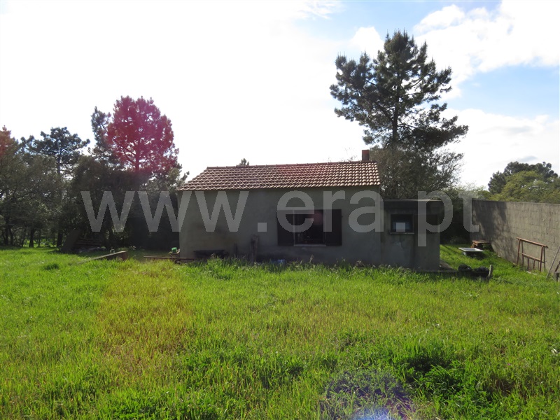 Quintinha  Alcobaça, Benedita - 1156561 - 5