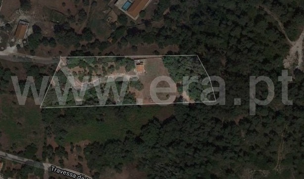 Quintinha  Alcobaça, Benedita - 1156561 - 8