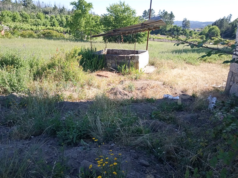 Quintinha  Amarante, Figueiró (Santiago e Santa Cristina) - 1016924 - 3