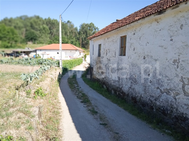 Quintinha  Amarante, Figueiró (Santiago e Santa Cristina) - 1016924 - 4