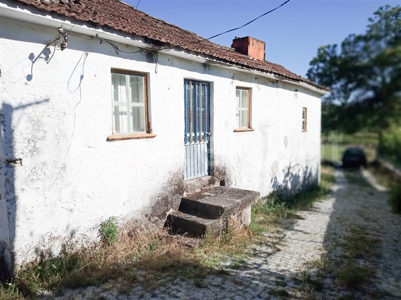 Quintinha  Amarante, Figueiró (Santiago e Santa Cristina) - 1016924 - 1
