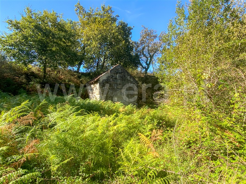 Quintinha  Amarante, Gouveia (São Simão) - 1354739 - 3