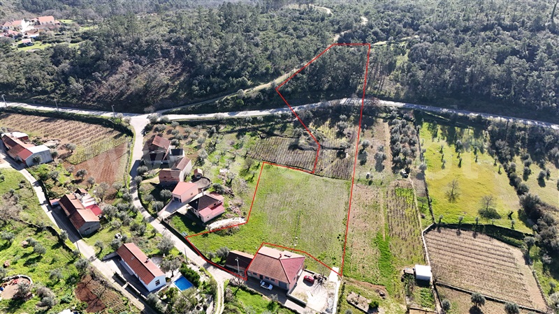 Quintinha / Ansião, ANSIÃO