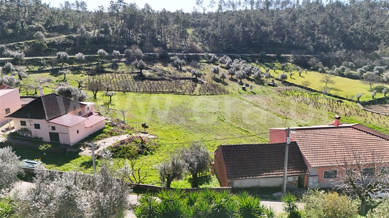 Terreno  Ansião, Santiago da Guarda - 1387792 - 4