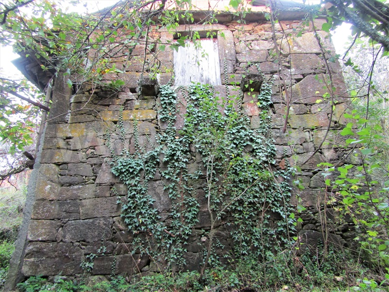 Quintinha  Arouca, Urrô - 1184190 - 1