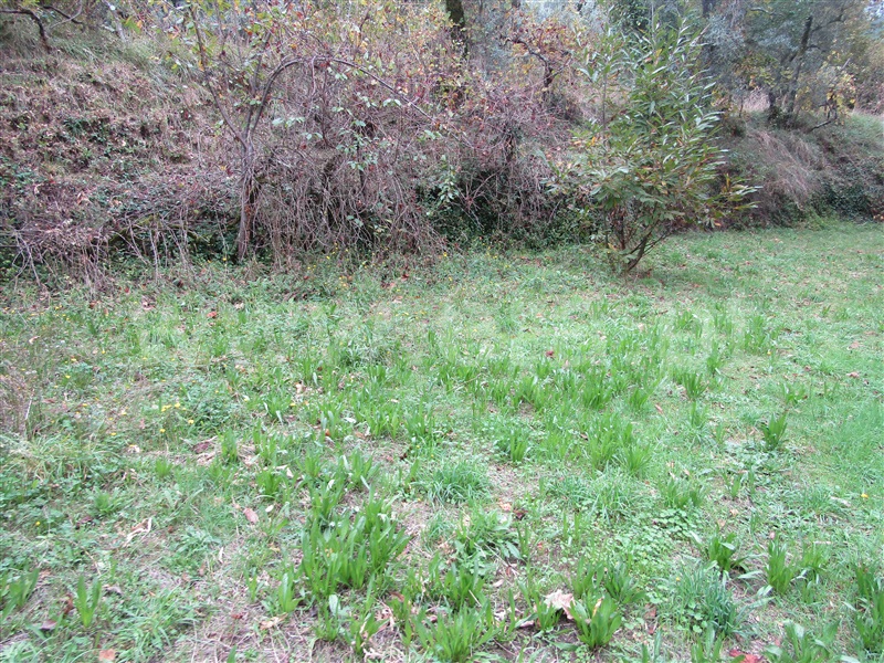 Quintinha  Arouca, Urrô - 1184190 - 7