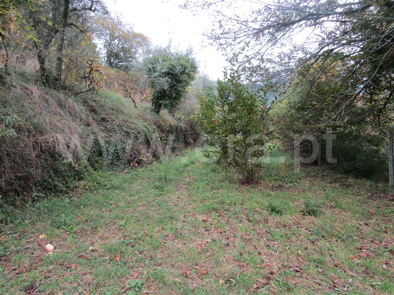 Quintinha  Arouca, Urrô - 1184190 - 8
