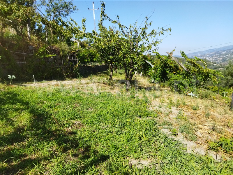 Quintinha  Baião, Ancede - 1338920 - 6