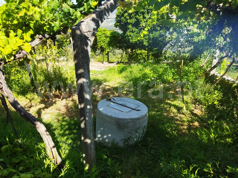 Quintinha  Baião, Ancede - 1338920 - 9