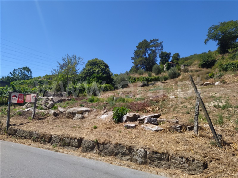 Quintinha  Baião, Loivos da Ribeira e Tresouras - 1348450 - 11