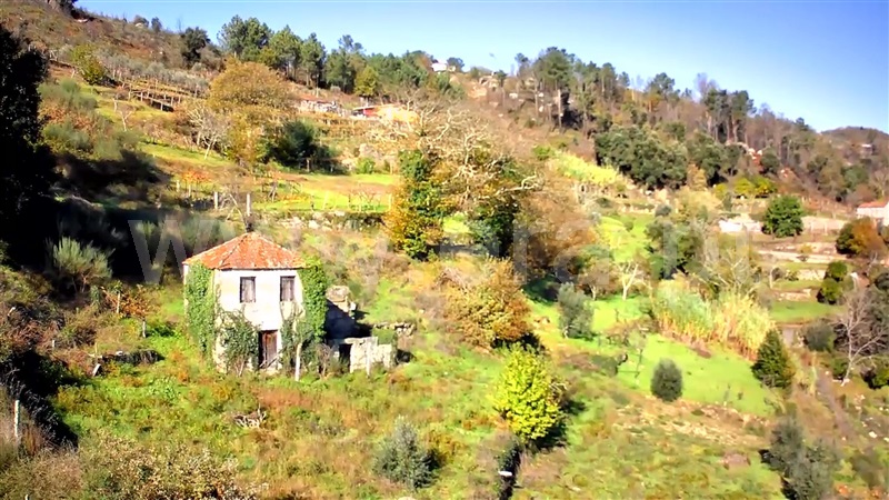 Quintinha  Baião, Loivos da Ribeira e Tresouras - 1348450 - 14